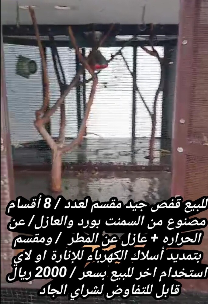 للبيع - 11