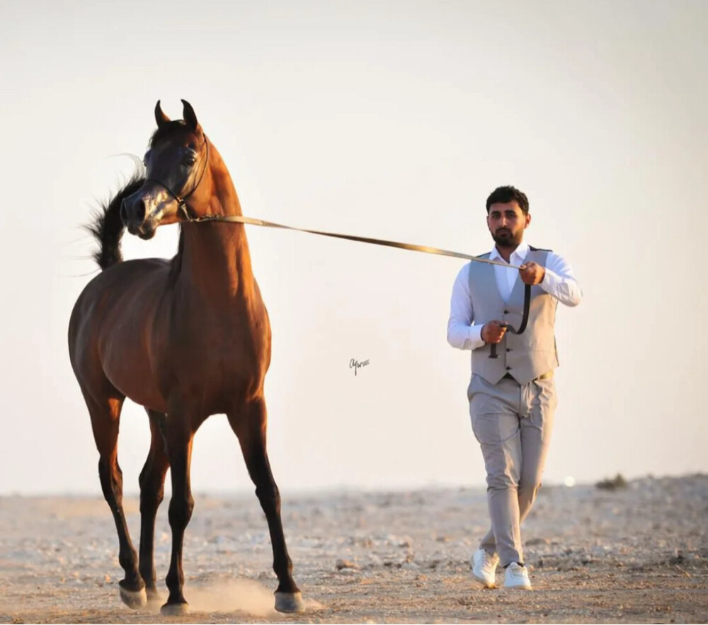 عمر محمد  - 1