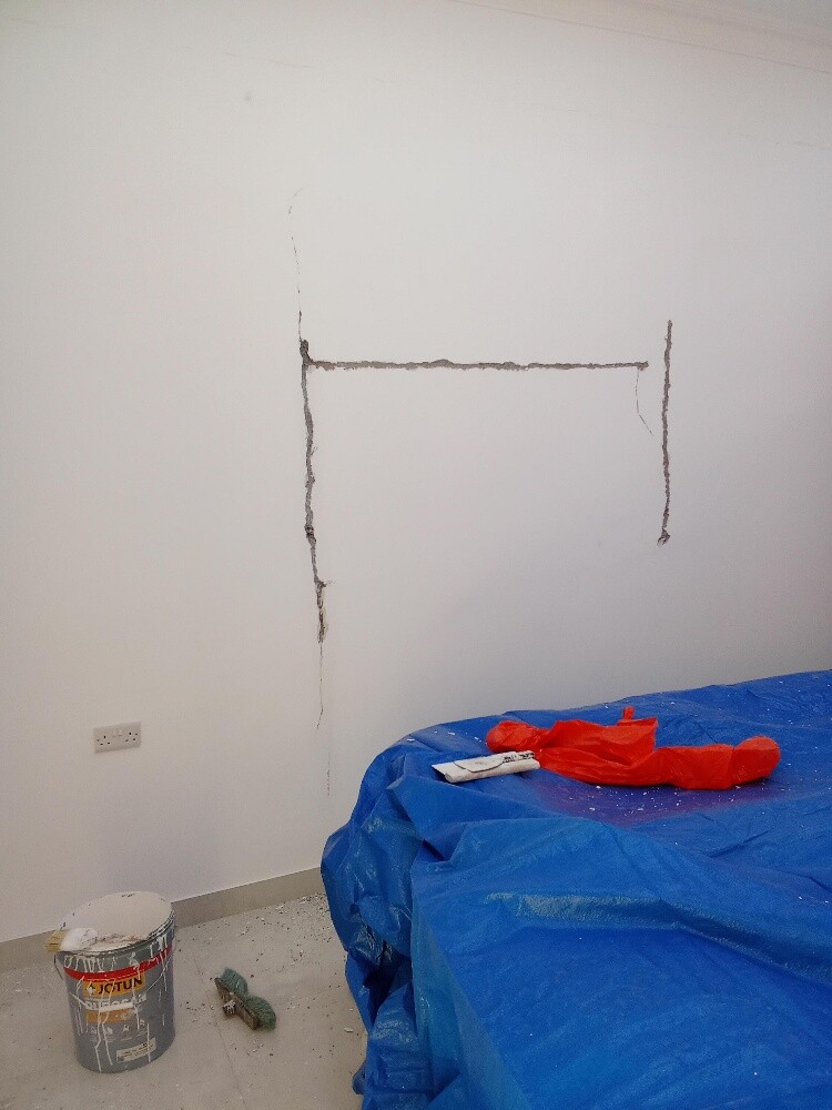 Professional Painting & Repair - 21
