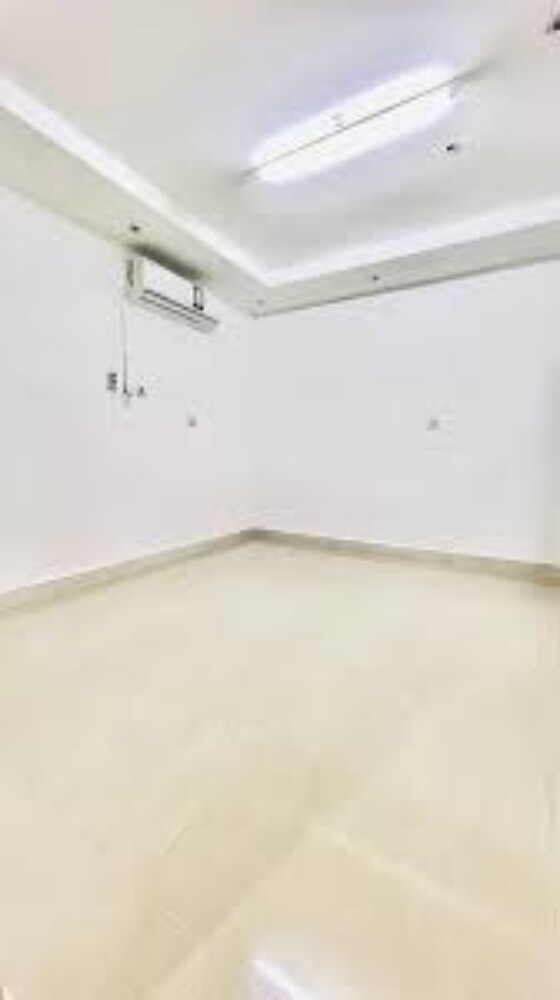 Professional Painting & Repair - 17