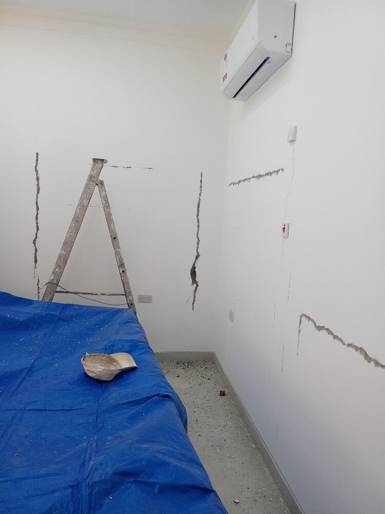 Professional Painting & Repair - 22