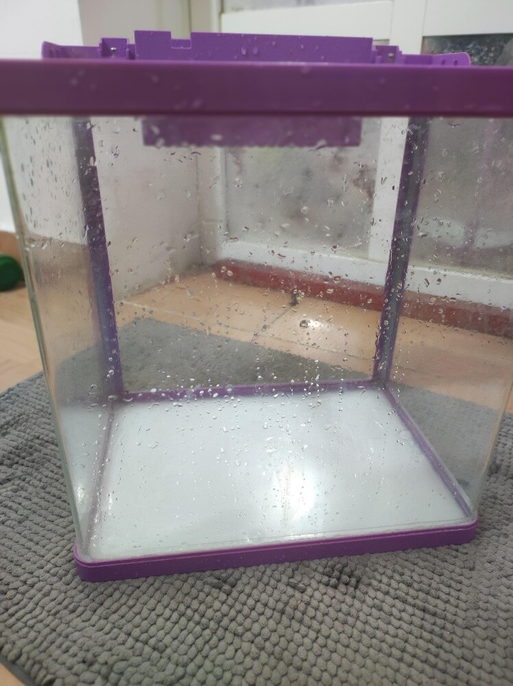 5 Gallon Fish Tank with new filter - 3