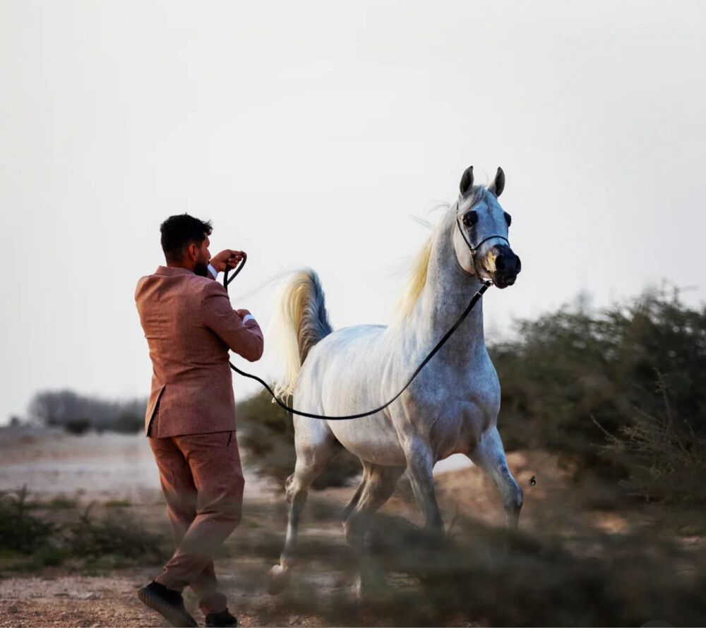 عمر محمد  - 6