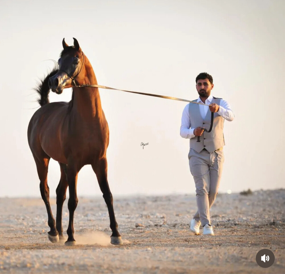 عمر محمد  - 7