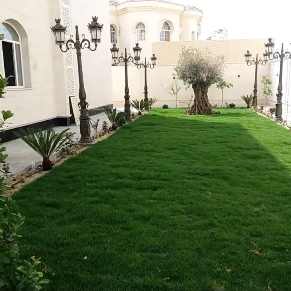 زراعه وشبكات الرى - 1
