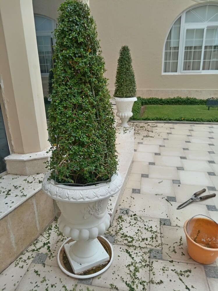 زراعه وشبكات الرى - 14