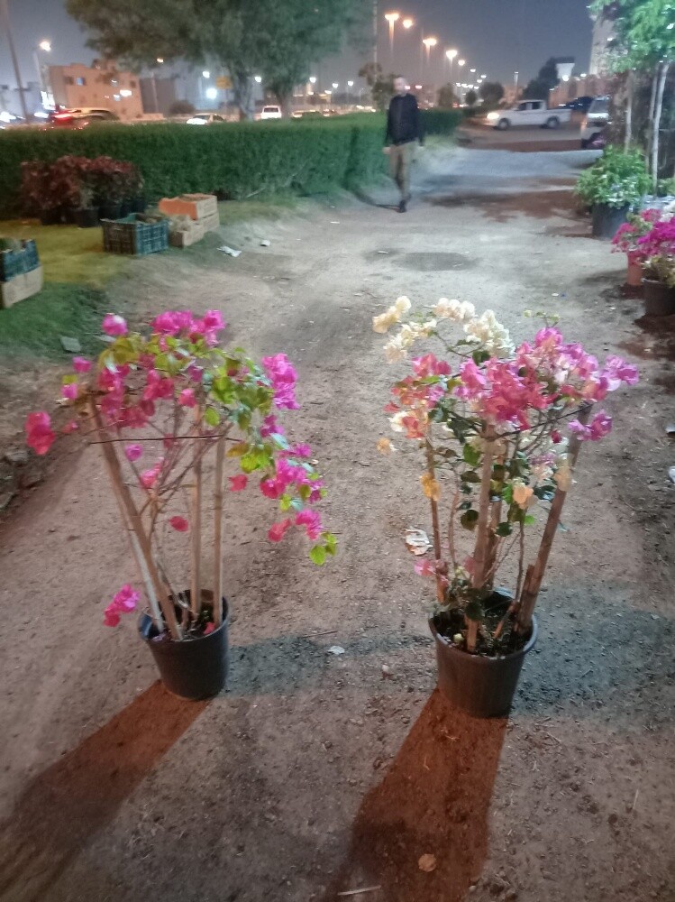زراعه وشبكات الرى - 16