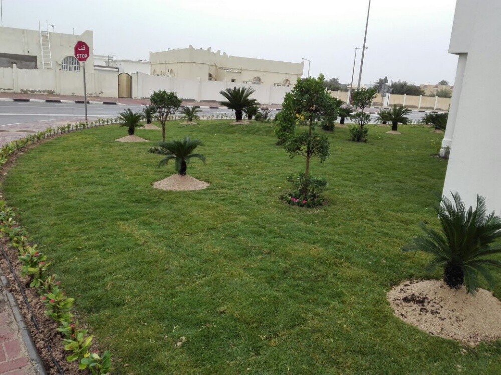 زراعه وشبكات الرى - 3