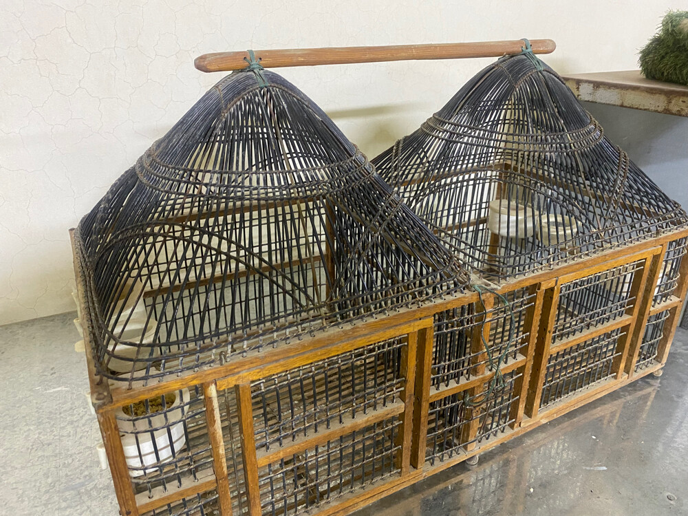 songbird cage - 2