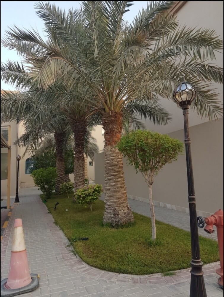 للإيجار فيلا بالمعمورة 9230 ريال - 1