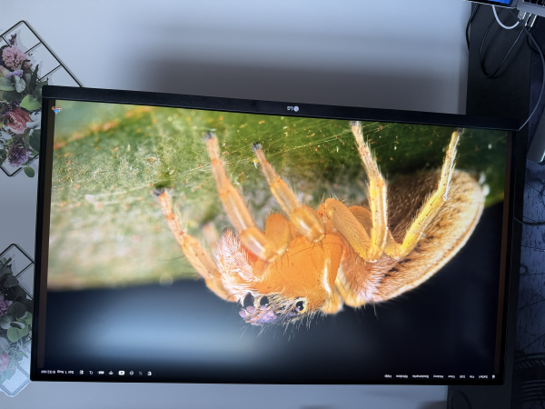 LG 32-Inch 4K Ergo Monitor - 2