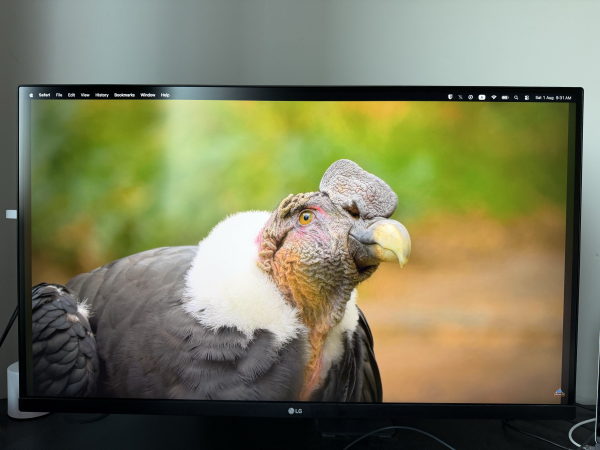 LG 32-Inch 4K Ergo Monitor - 1