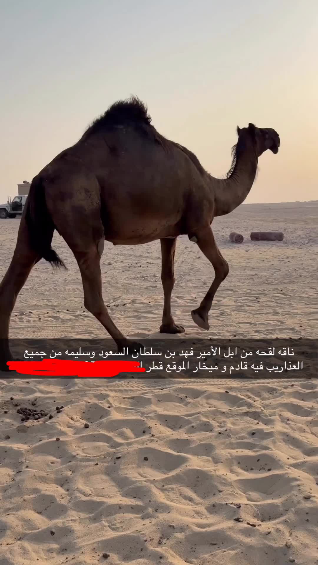 متلي كطيبه جدا - 1
