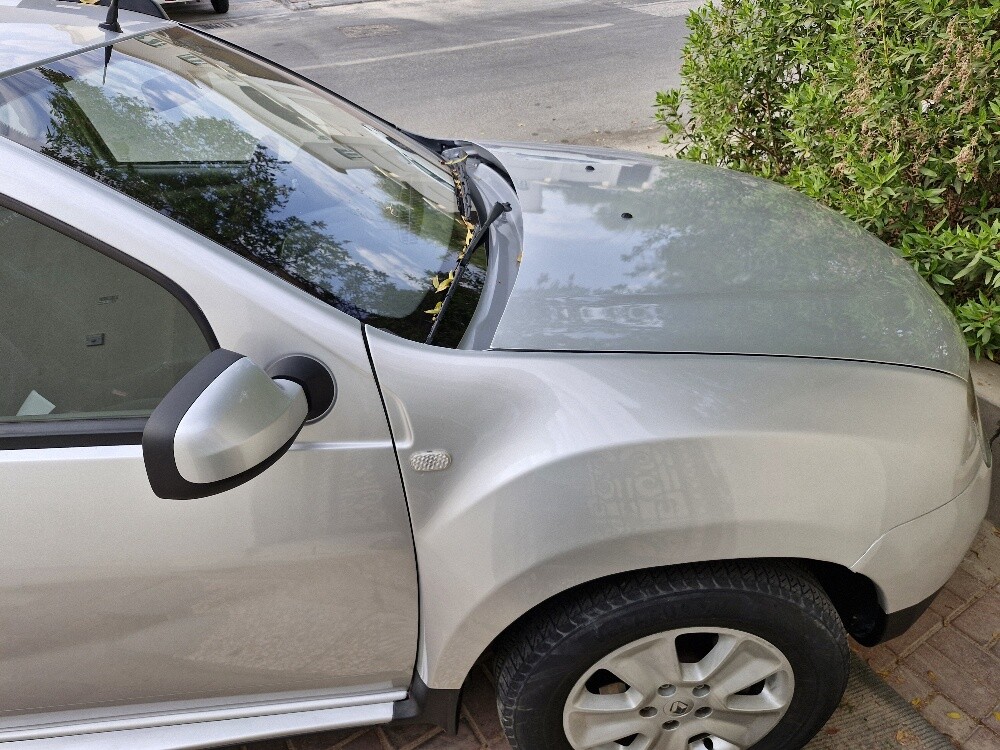 50676612 - Duster 2015
225k - 5