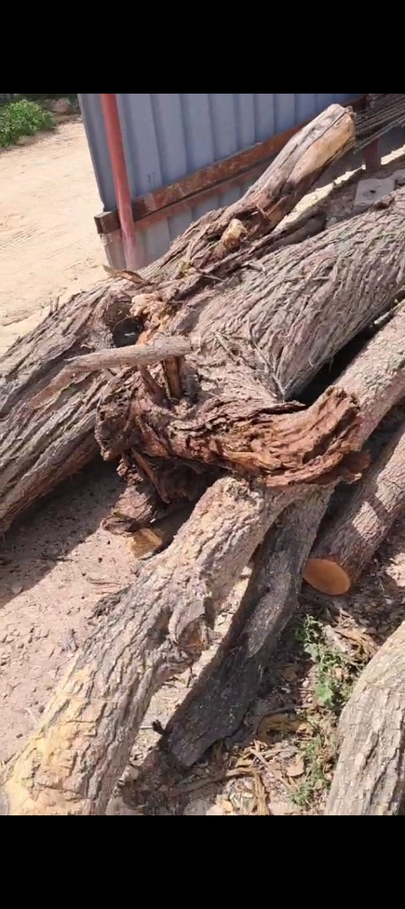 Tree cutting and splitting - 2