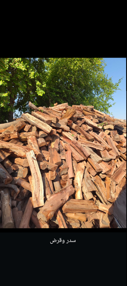 Mixed firewood and jujube wood - 2