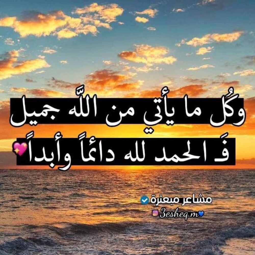 بعث عن عمل - 1