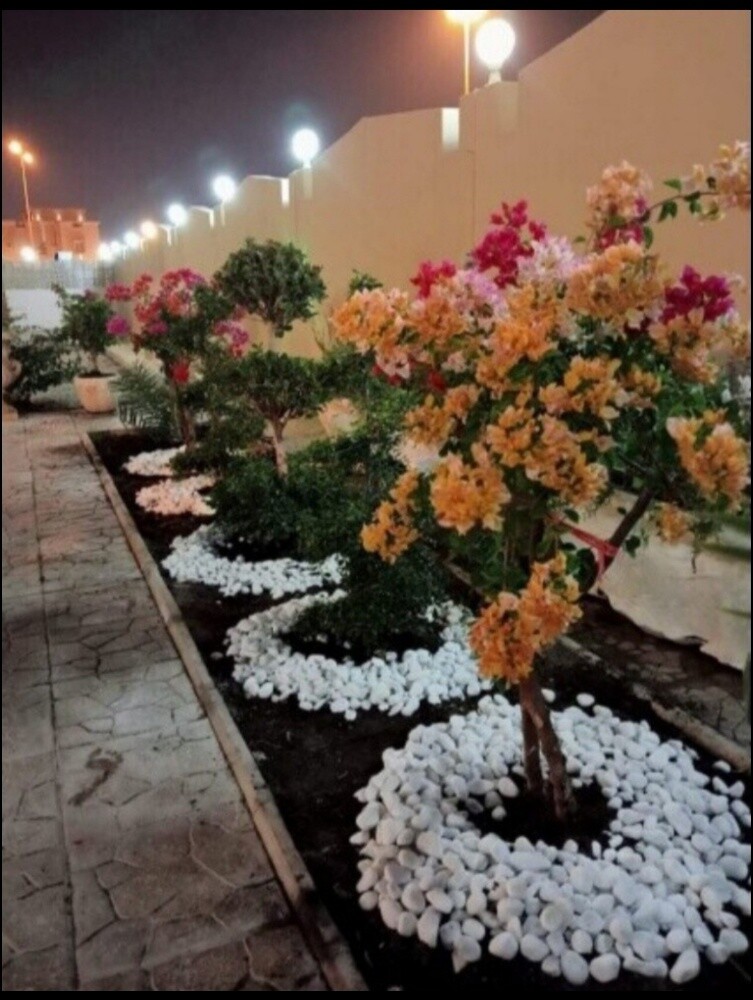 نقوم بعمل كل ما يخص اعمال الزراعه - 2