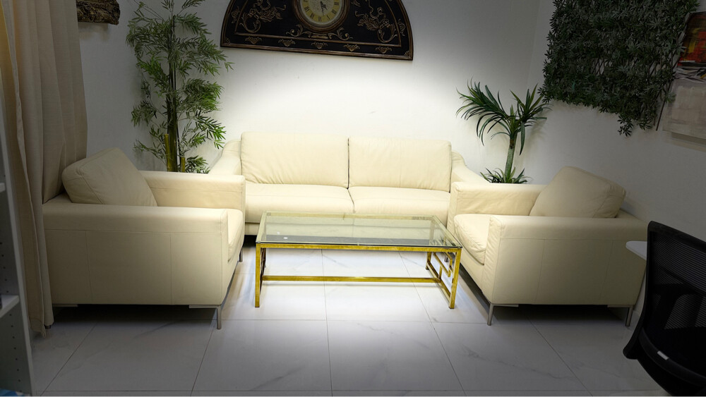 Sofa Orginal lather - 3