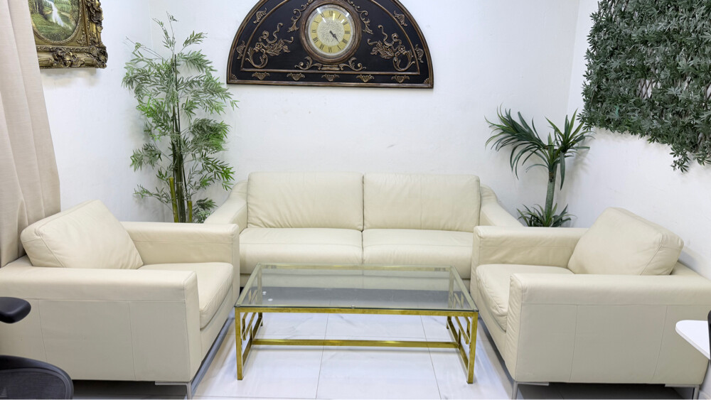 Sofa Orginal lather - 4