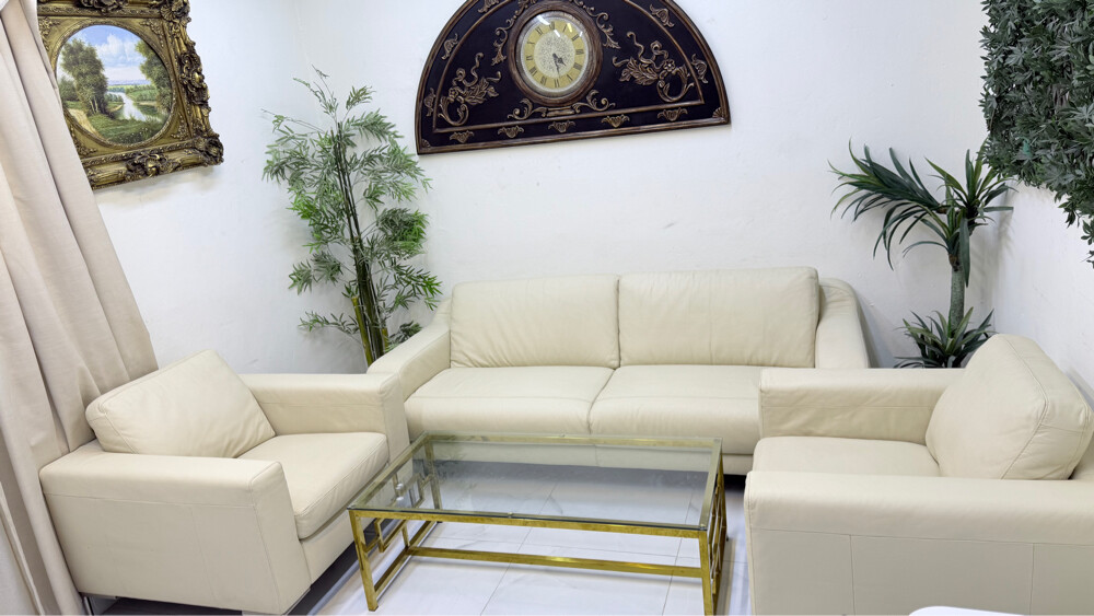 Sofa Orginal lather - 1
