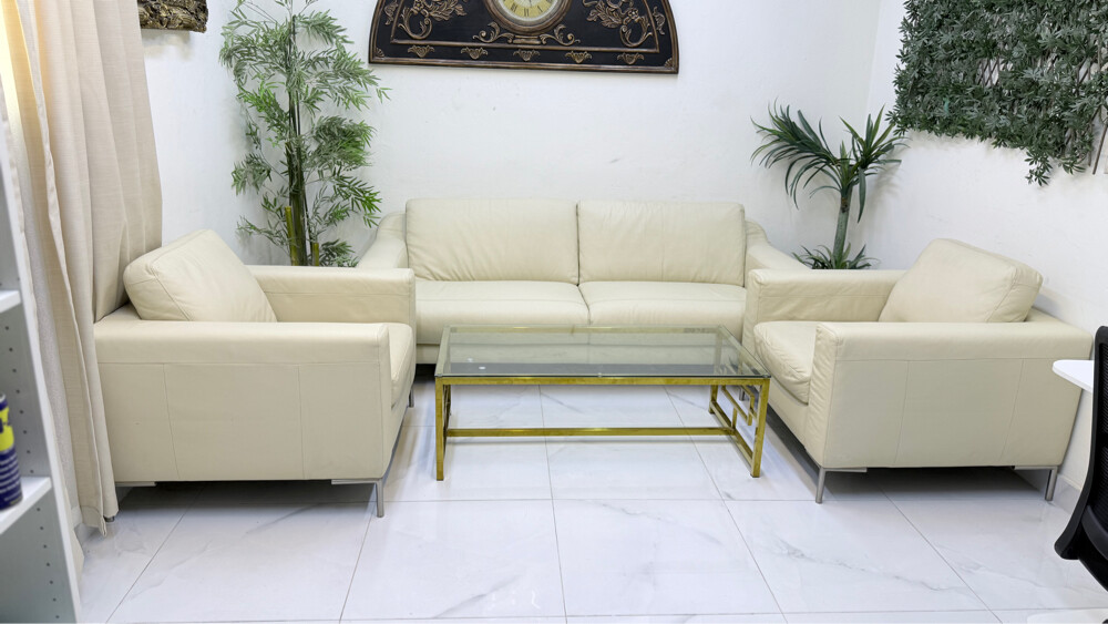 Sofa Orginal lather - 2