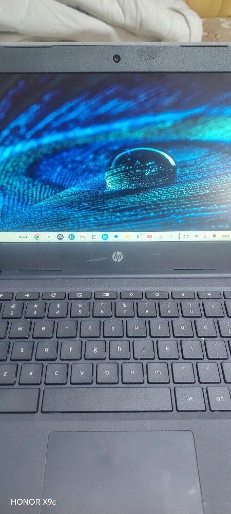 HP Chromebook - 3