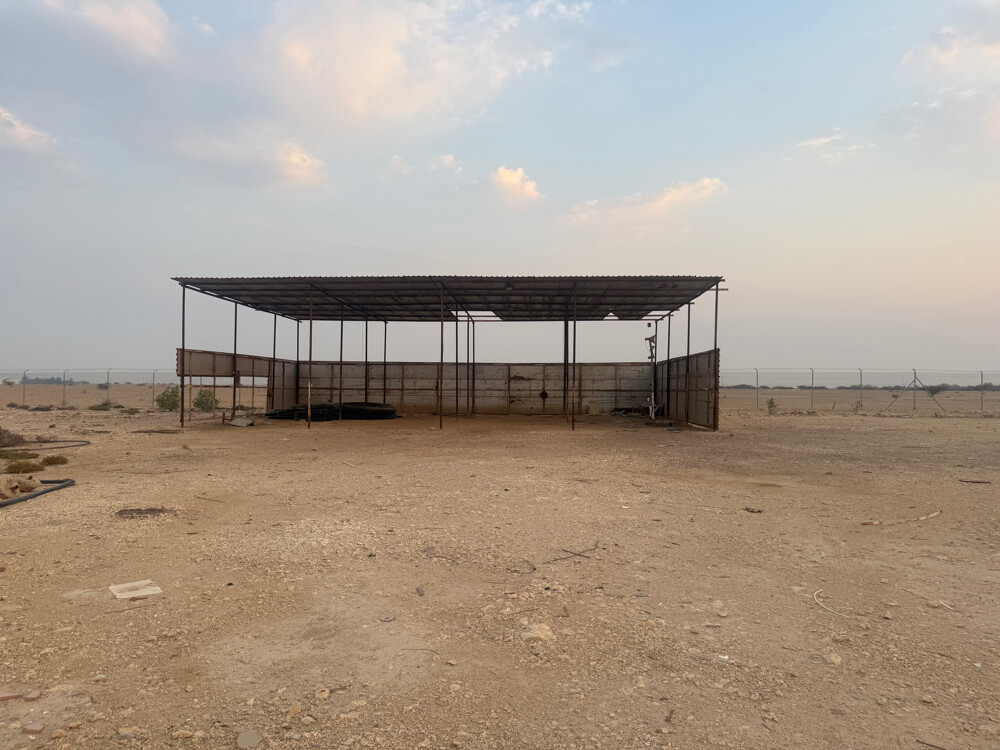 مشروع داخل مزرعة  - 2