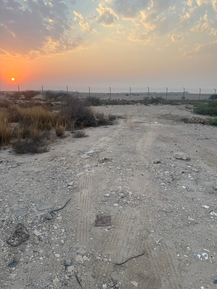 مشروع داخل مزرعة  - 6