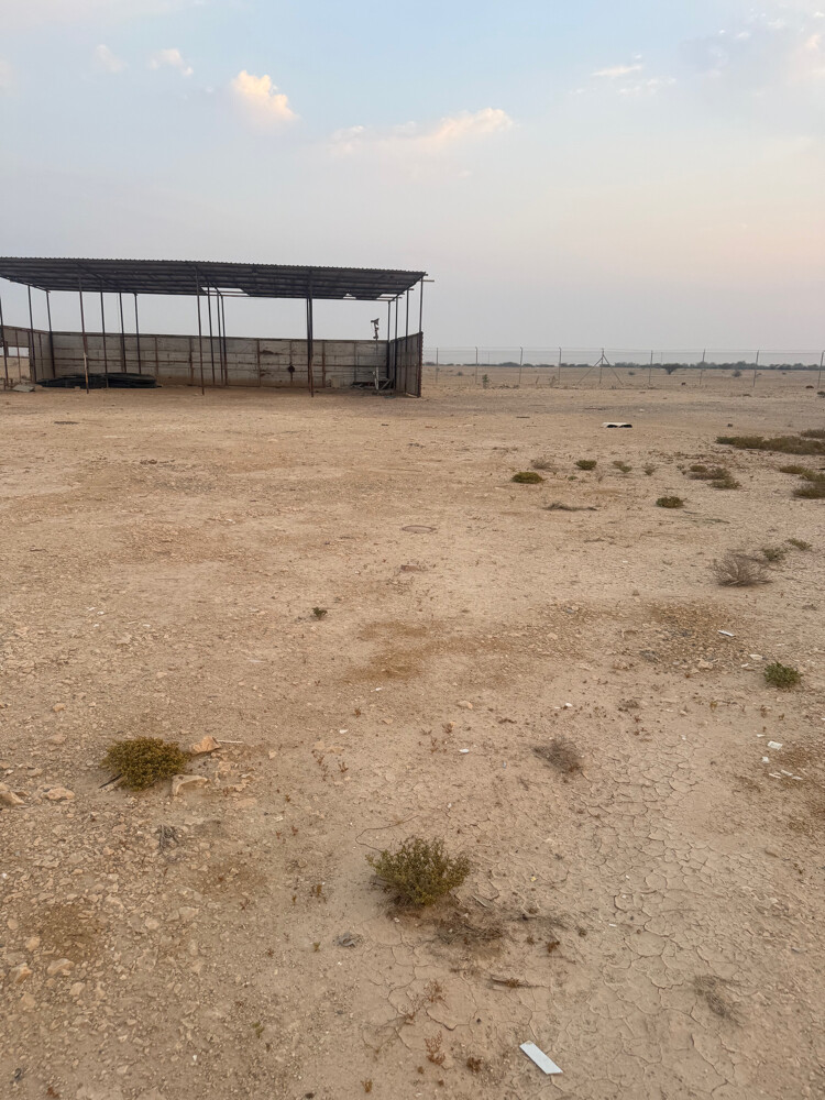 مشروع داخل مزرعة  - 4