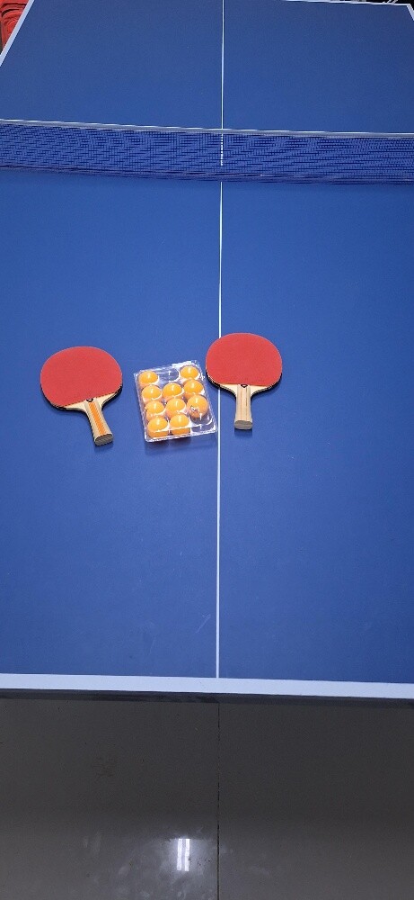 tennis table - 2