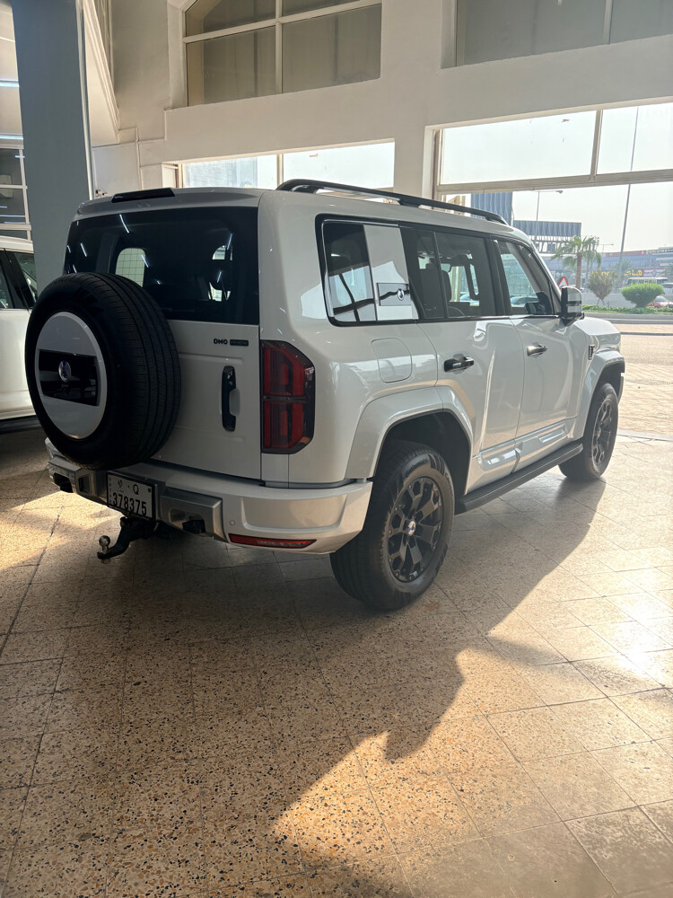 دينزا بى٥ ٢٠٢٧ اصفار - 3
