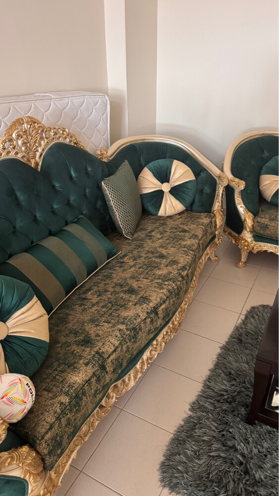 للبيع بداعي السفر - 4