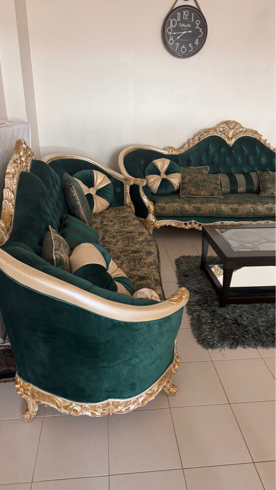 للبيع بداعي السفر - 5
