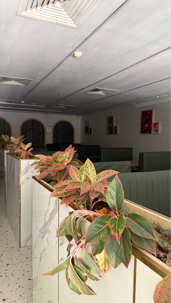 Restaurant for rent - 13
