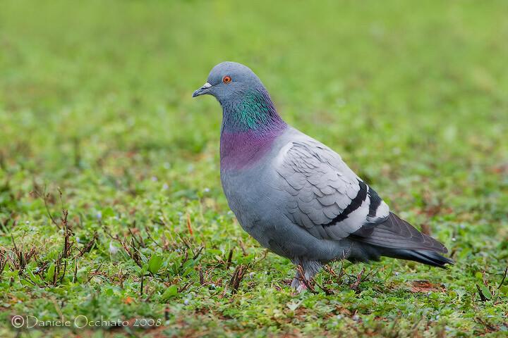 مطلوب - 1