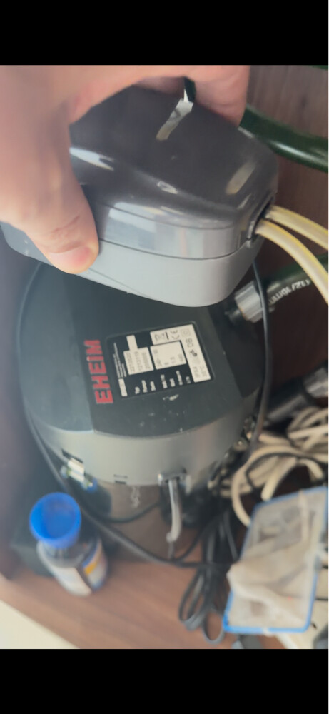 Full Tank with accessories or Fish - 11