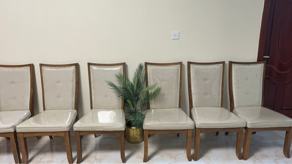 dining chairs - 1