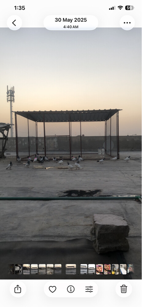 baloch - 3