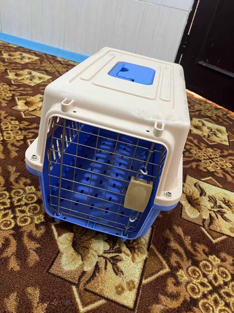 نظيف  - 2