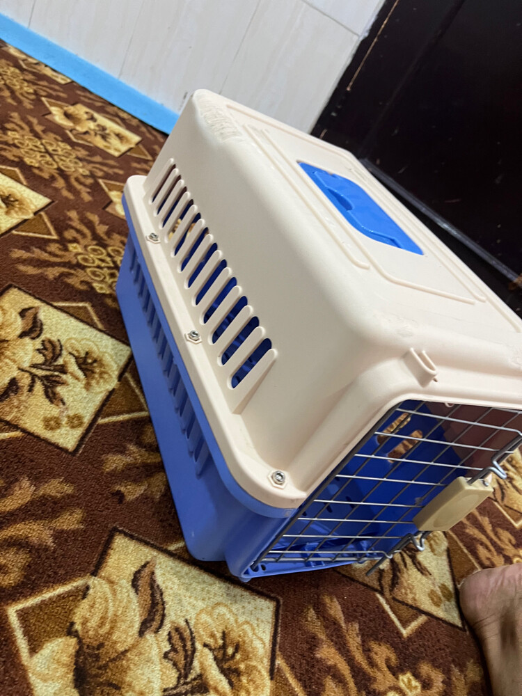 نظيف  - 1