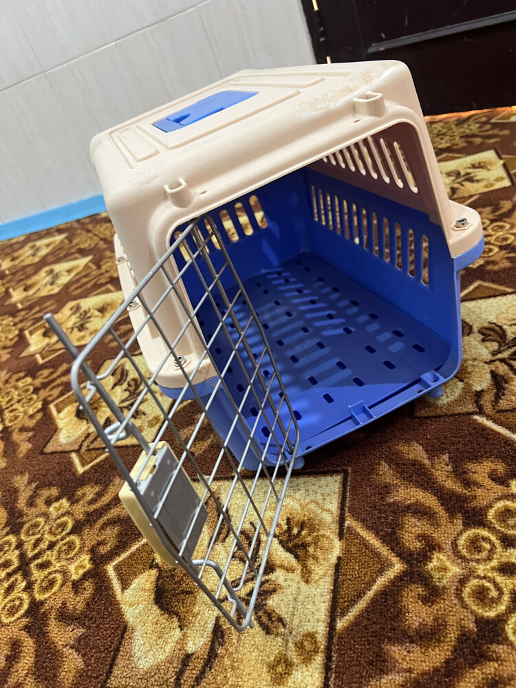 نظيف  - 3