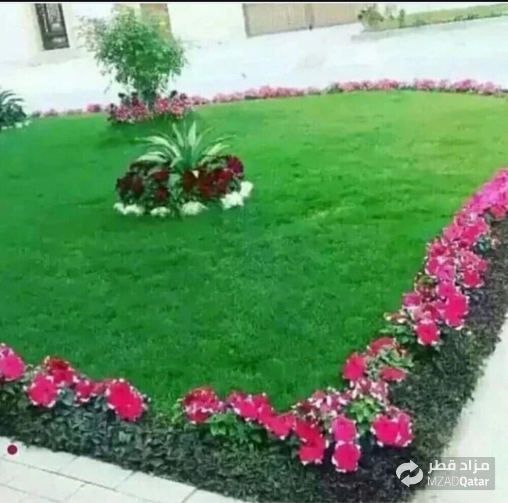 زراعه وديكور - 1