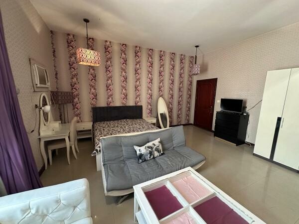 Spacious FF big studio with Bills - 4