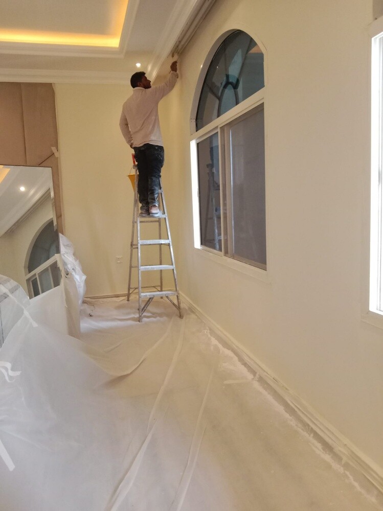 painting work - 3