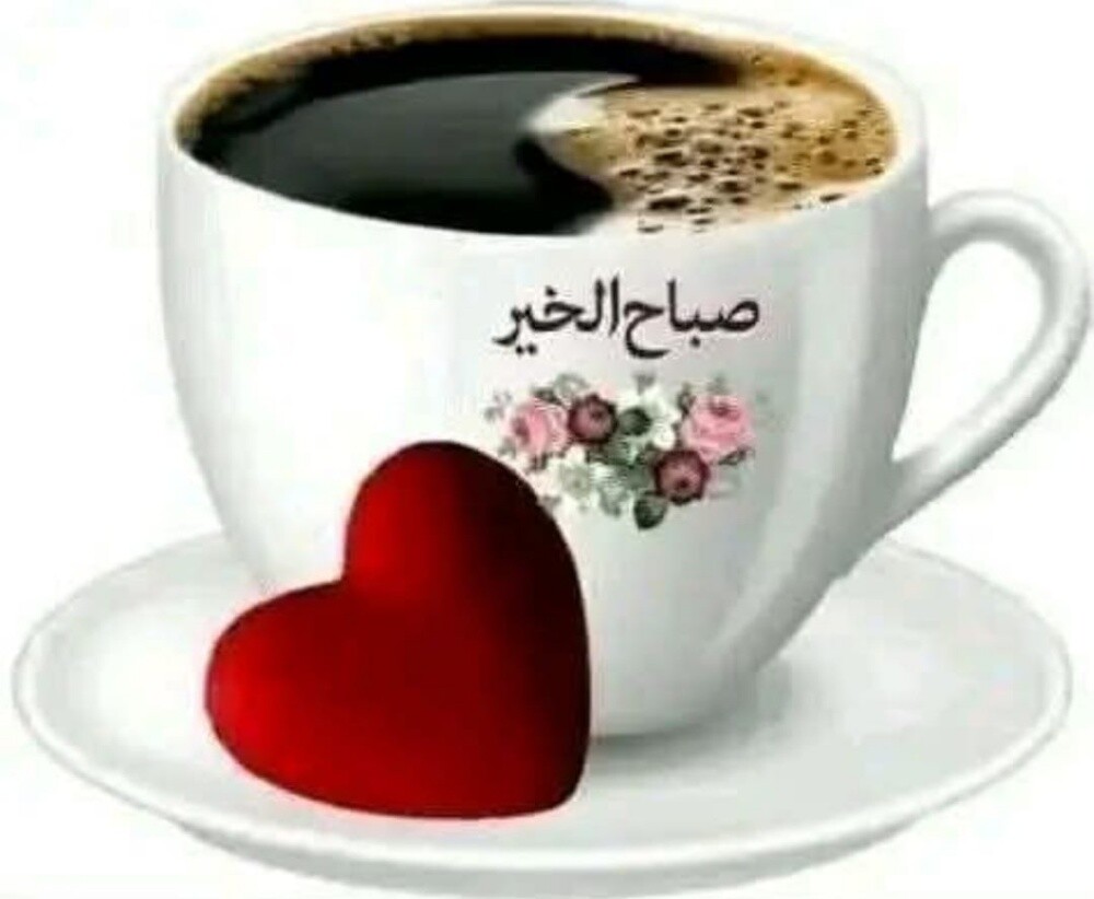 أستاذة علوم عامة - 1