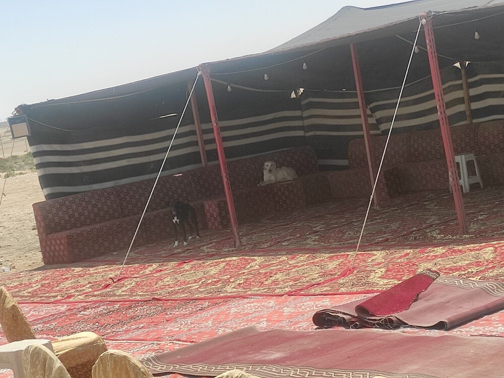 ابو مايكل - 2