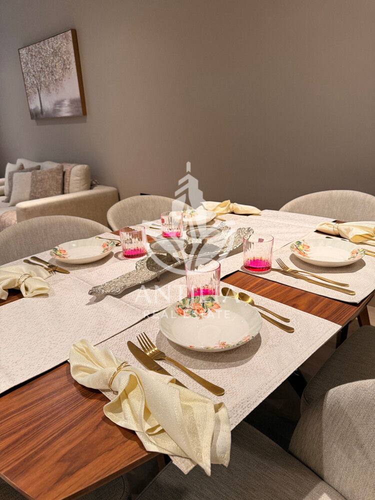 Premium fully furnished 1BHK - 4
