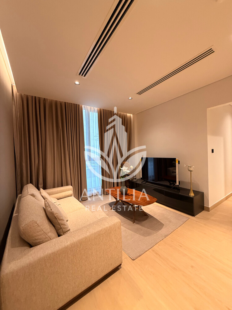 Premium fully furnished 1BHK - 3