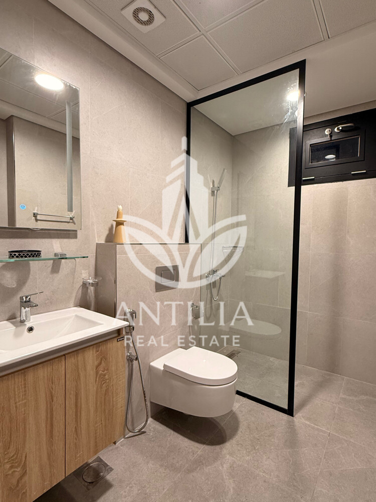 Premium fully furnished 1BHK - 4
